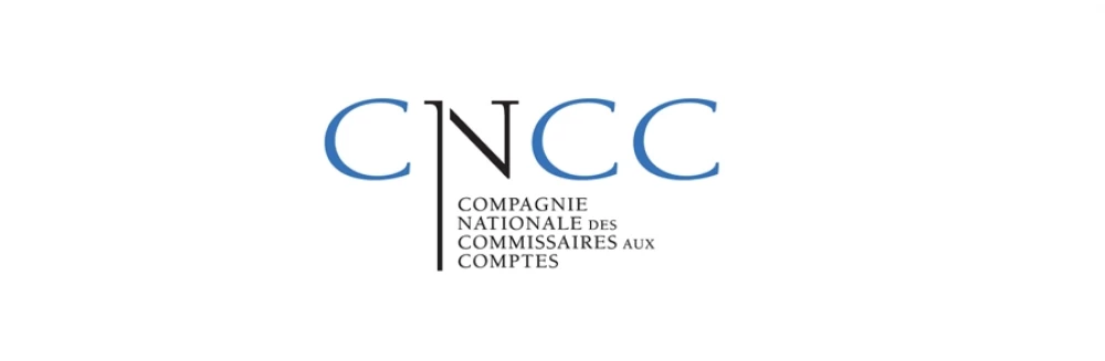 Commissaire aux comptes {{localite_seo}}